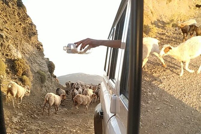 Sunset Jeep Tour in Crete - FAQ
