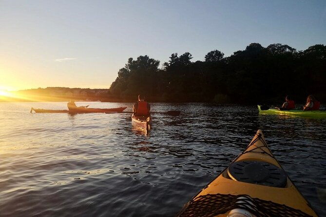 sunset-kayak-tour-in-central-stockholm-and-swedish-fika-2