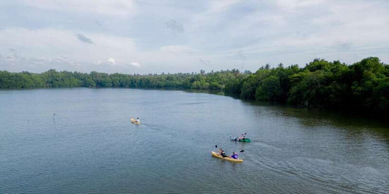 sunset-kayaking-on-the-negombo-lagoon