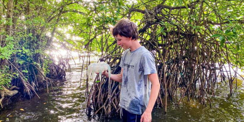 sunset-kayaking-on-the-negombo-lagoon