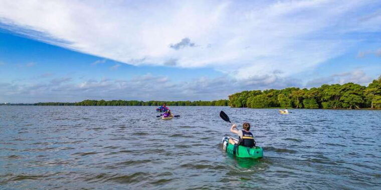 sunset-kayaking-on-the-negombo-lagoon