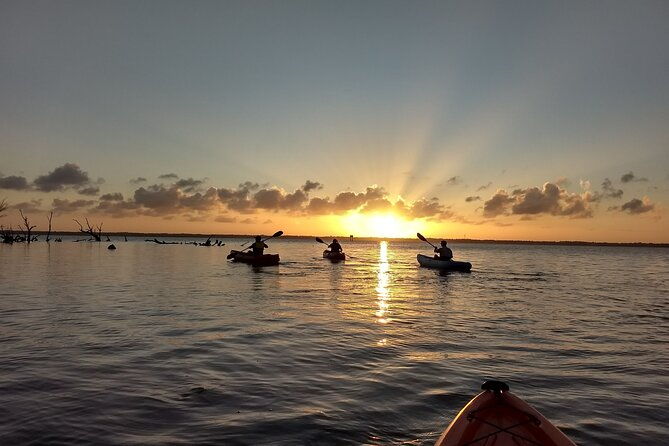 sunset-kayaking-tour-at-manatee-cove-with-manatee-dolphin-sightings