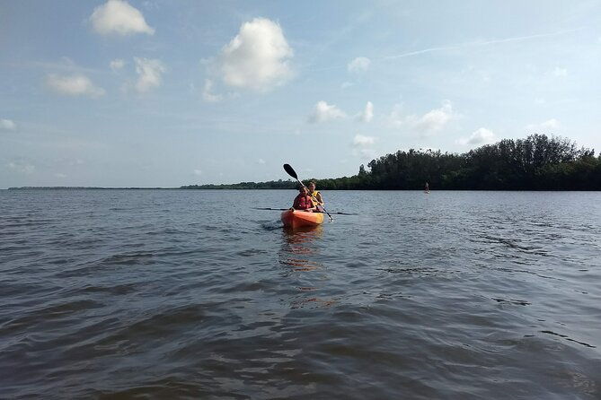 sunset-kayaking-tour-at-manatee-cove-with-manatee-dolphin-sightings