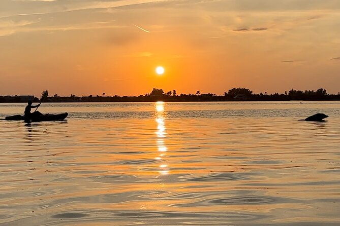 sunset-kayaking-with-dolphins