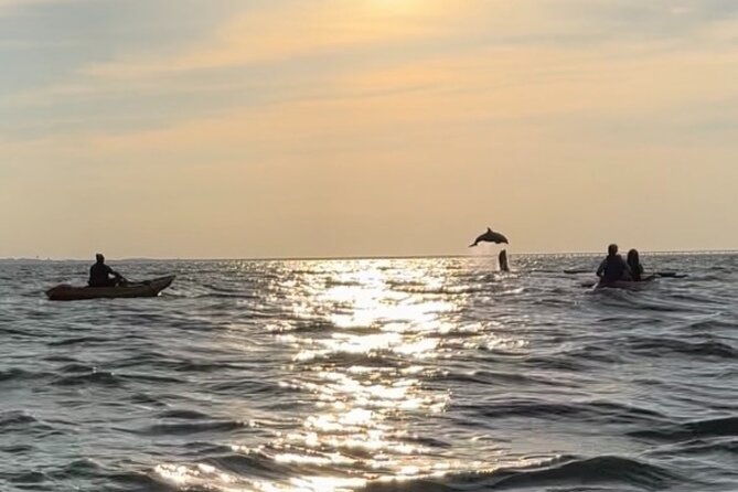 sunset-kayaking-with-dolphins