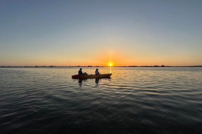 sunset-kayaking-with-dolphins