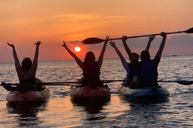 sunset-kayaking-with-dolphins