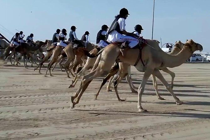 Sunset Keshta at Zekreet | Art, Adventure & Arabian Picnic - Sunset Keshta at Zekreet | Art, Adventure & Arabian Picnic: A Complete Review