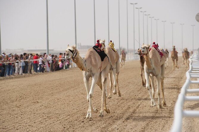 Sunset Keshta at Zekreet | Art, Adventure & Arabian Picnic - FAQ