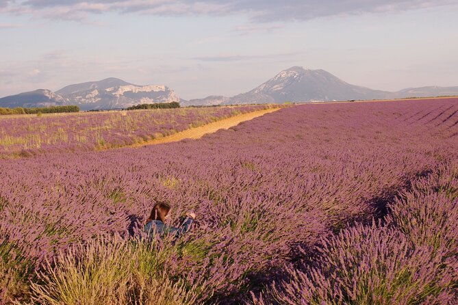sunset-lavender-tour-in-valensole-with-pickup-from-marseille-2