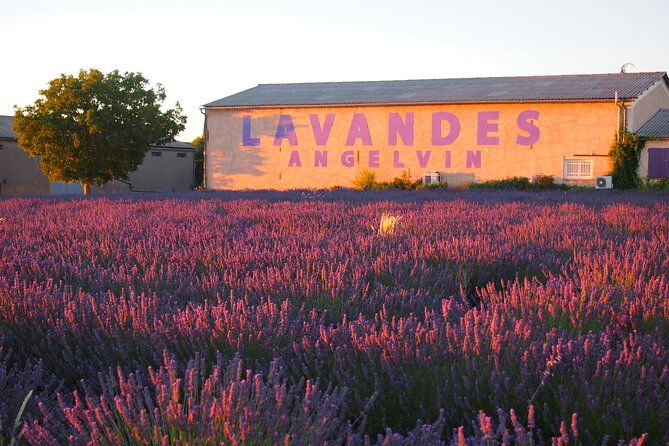 sunset-lavender-tour-in-valensole-with-pickup-from-marseille