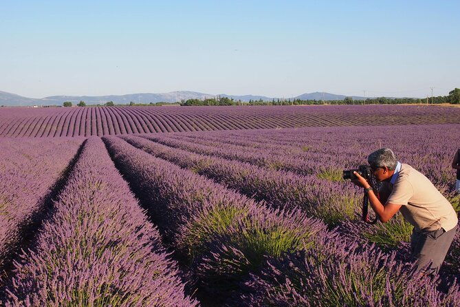sunset-lavender-tour-in-valensole-with-pickup-from-marseille