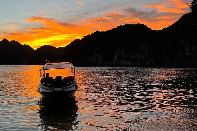 Sunset- Magical bioluminescent plankton Kayaking trip from Catba - Who Should Consider This Tour?