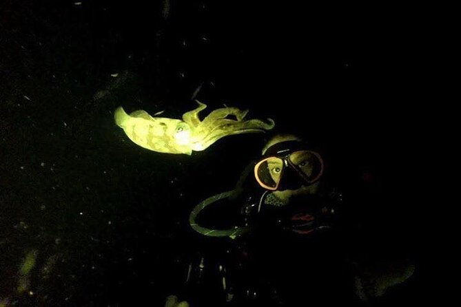 sunset-night-dive-for-certified-divers-in-st-thomas