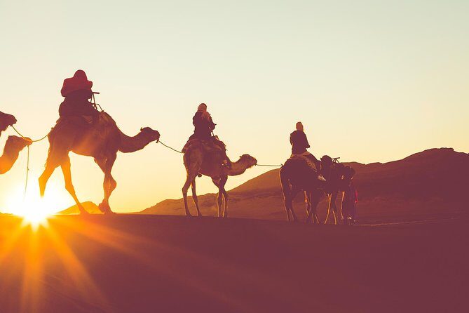 Sunset or Sunrise Camel ride in the Sahara Desert of Douz - Sunset or Sunrise Camel Ride in the Sahara Desert of Douz