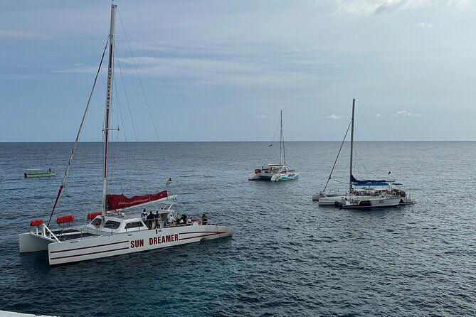 sunset-party-cruise-ricks-cafe-ocean-coral-eden-bay-guests