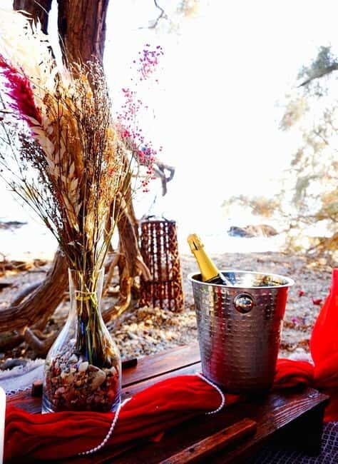 Sunset Picnic - Key Points