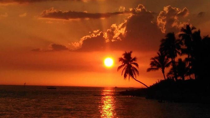 sunset-private-boat-trip-in-naples-fl-with-secluded-island-stop-with-your-dog