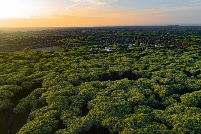 sunset-ride-with-romantic-dinner-in-rome