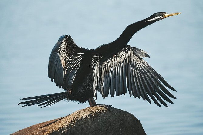 Sunset River Cruise near Byron Bay - FAQ