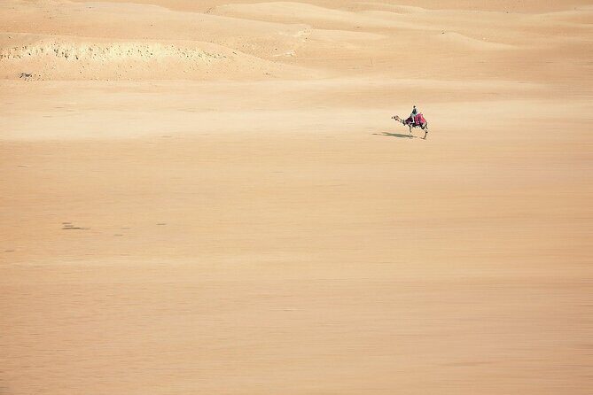 Sunset Safari Tour By Horse or Camel Ride - Key Points