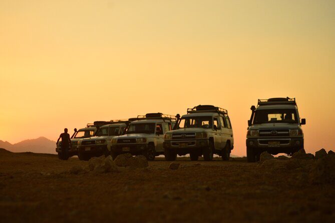 Sunset Safari trip by Jeep - Who Should Consider This Tour?