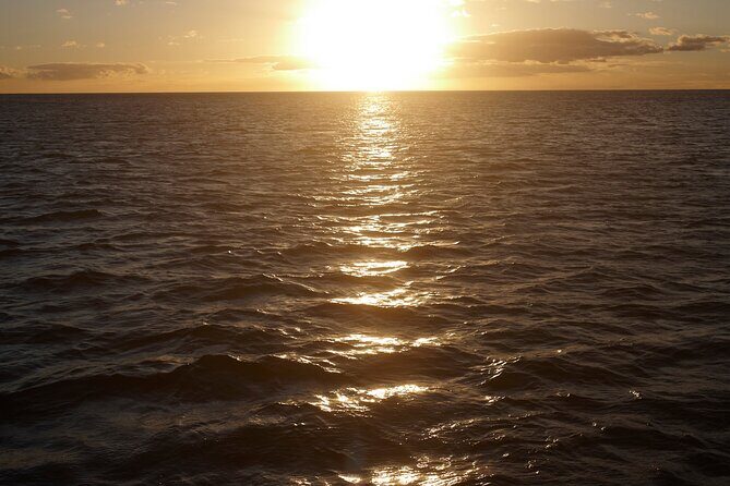 Sunset Sail Experience at Kona from Honokohau - Final Thoughts