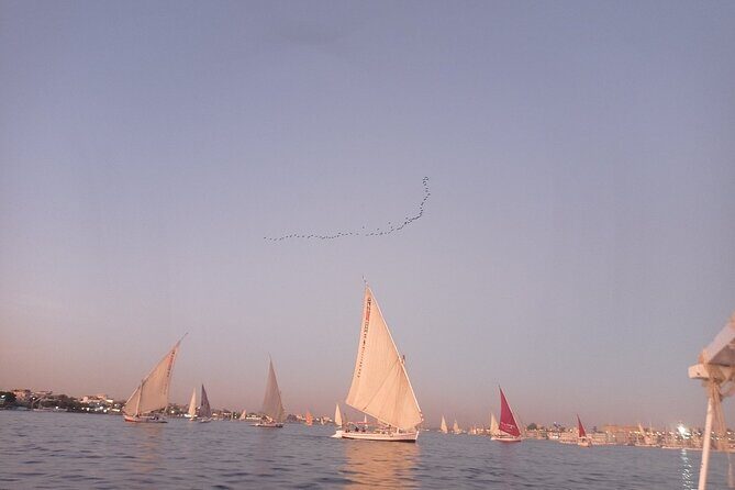 Sunset sailing by Felucca in Luxor -2 Hours (Private) - What to Expect on Your Luxor Sunset Felucca Cruise