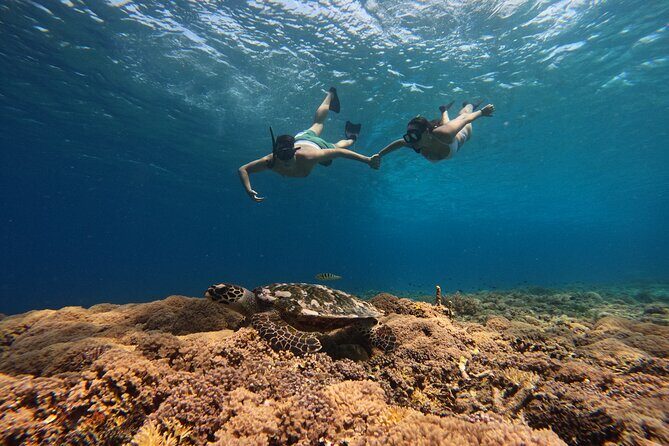 Sunset Snorkeling with Picture & Video in Gili Meno Turtle - Who Should Consider This Tour?