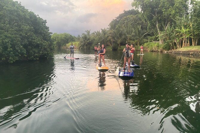 sunset-stand-up-paddle-with-photos-and-turtles