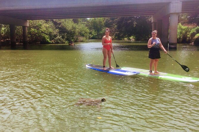 sunset-stand-up-paddle-with-photos-and-turtles