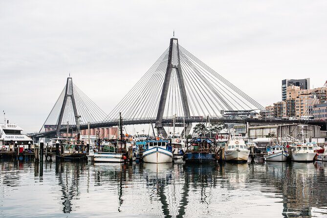 Sunset Sydney Fish Market Tour - Introducing the Sunset Sydney Fish Market Tour