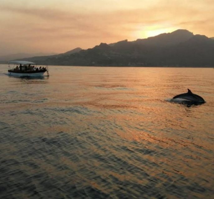 Sunset Tour and Searching Dolphins - Authentic Guest Experiences
