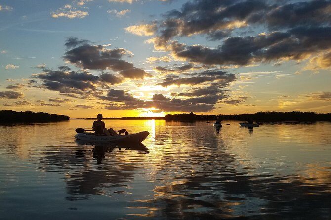 Sunset Tour Mangrove, Dolphins, Manatee #1 Rated in Cocoa Beach - Final Thoughts