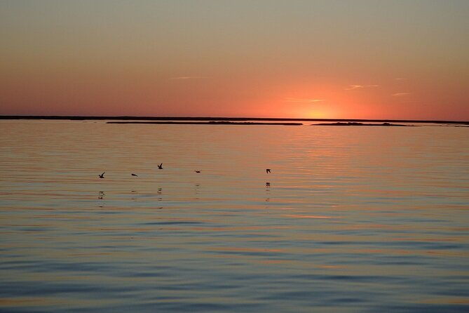 sunset-tour-ria-formosa-from-faro