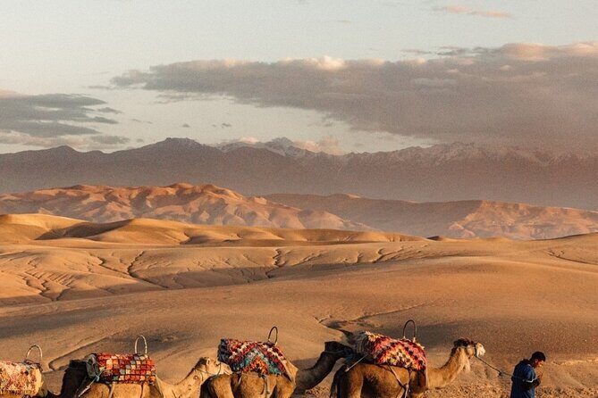Sunset views with dinner show and came ride tour - Who Would Love This Tour?