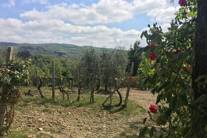 sunset-vip-chianti-wine-tour