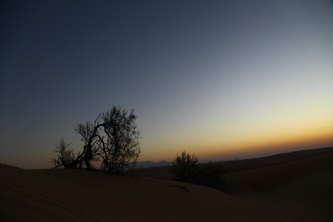 Sunset watching in Al Wahiba Sand - Authenticity and Review Insights