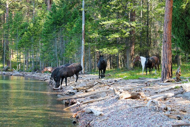 sunset-wild-horse-island-private-boat-tour-2