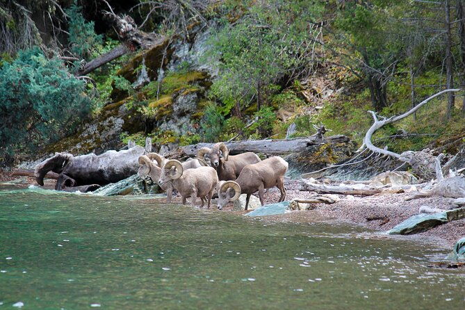 sunset-wild-horse-island-private-boat-tour-2