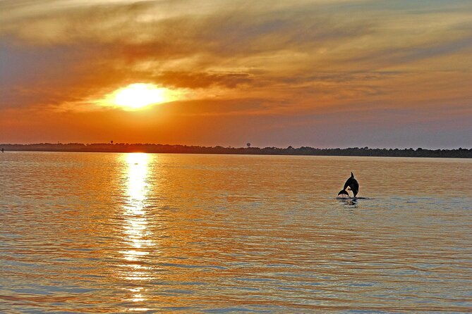 sunset-wildlife-cruise-along-assateague-chincoteague-island