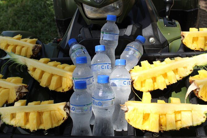 sunset-wildlife-tour