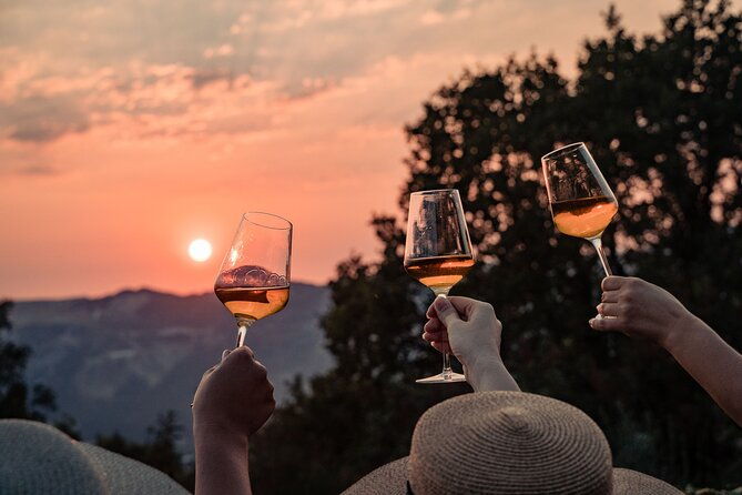 sunset-wine-tasting-in-vineyard