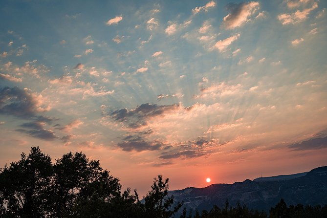 sunset-wine-tasting-in-vineyard