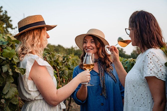 sunset-wine-tasting-in-vineyard