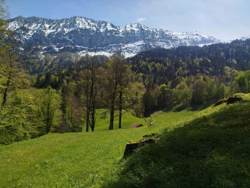 Sunset Yoga Hiking Tour - The Value of This Experience