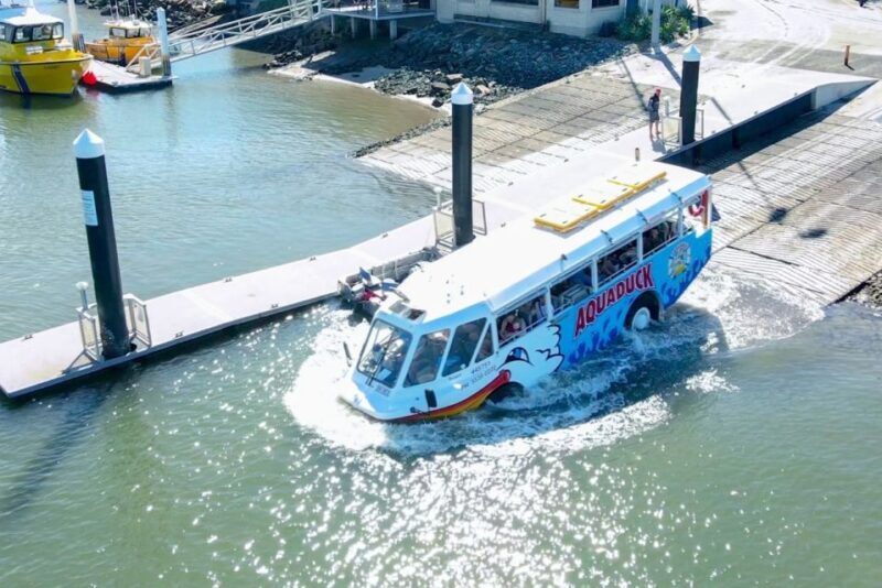 Sunshine Coast: 1-Hour Land and Water Tour - Key Points
