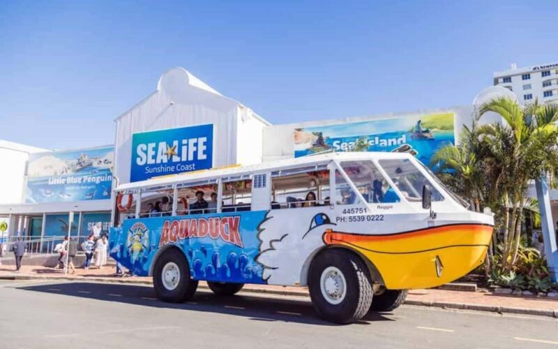 Sunshine Coast: 1-Hour Land and Water Tour - The Experience: What We Imagined Based on Reviews