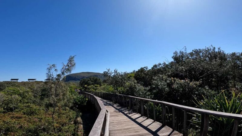 Sunshine Coast: Easy Peasy Novotel North E-Bike Tour - Key Points