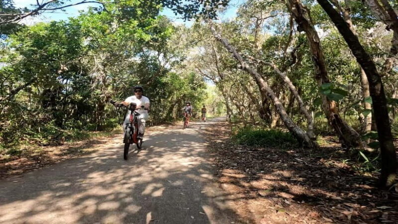 Sunshine Coast: Easy Peasy Novotel North E-Bike Tour - Why This Tour Offers Good Value